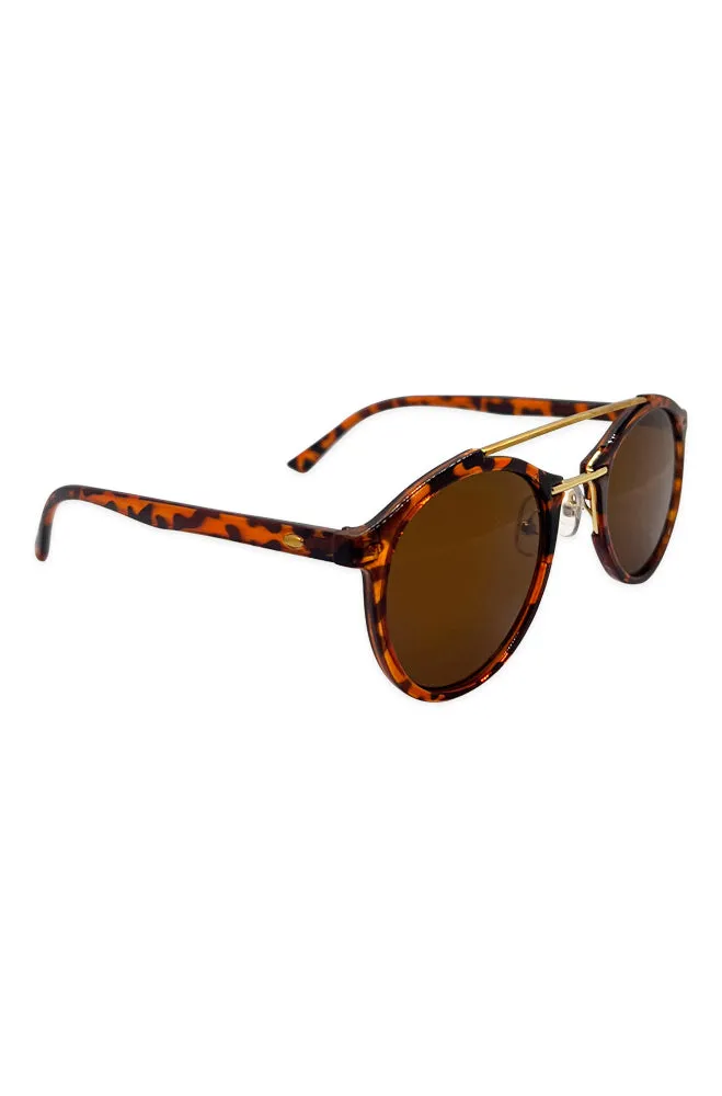 Nico Aviator Sunglasses _ 163401 _ Brown sold by Dunns product image thumbnail 2