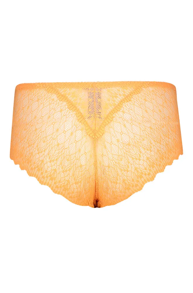 ZAHARA ALL OVER LACE BOYLEG sold by Dunns product image thumbnail 2