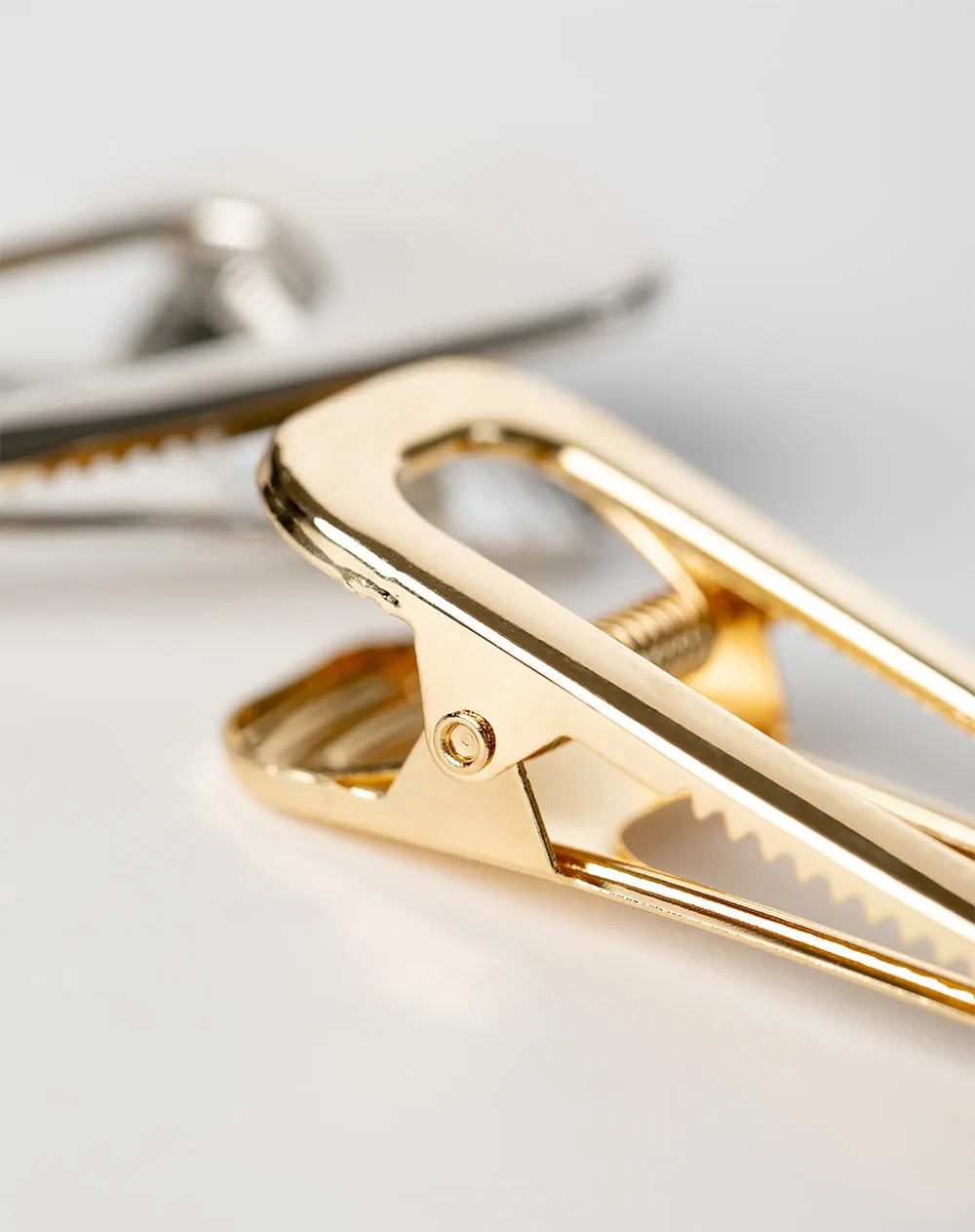 Set de 2 hebillas surtidas sold by Gef product image thumbnail 3