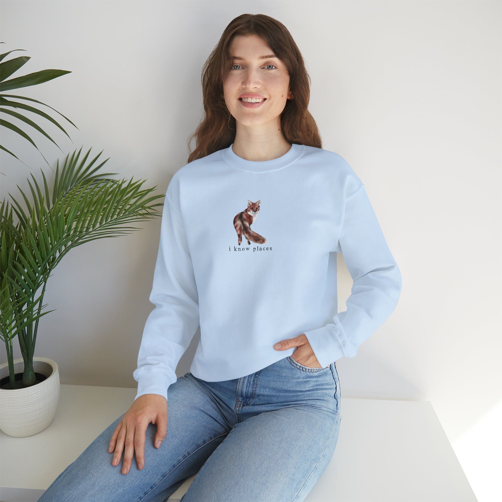 I know places fox sweater sold by Rose Blush Studio product image thumbnail 3