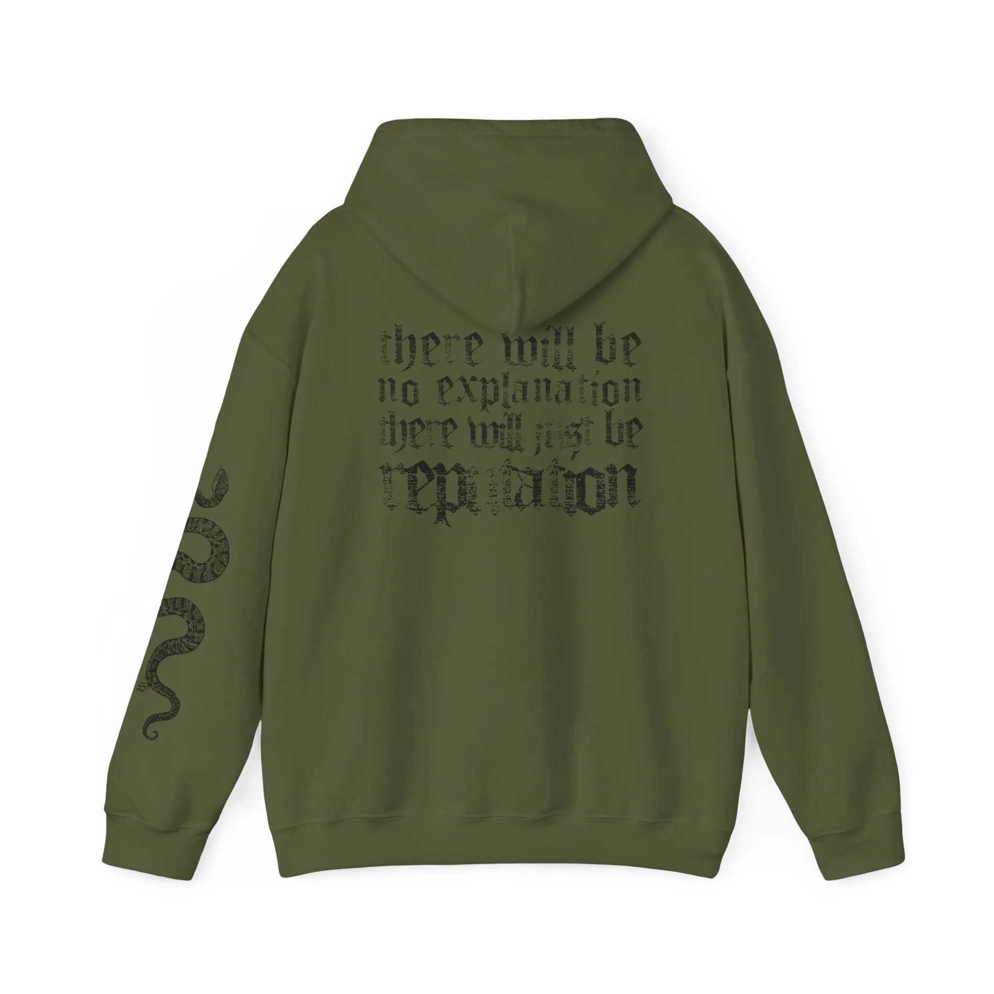 No Explanation Hoodie sold by Rose Blush Studio product image thumbnail 4