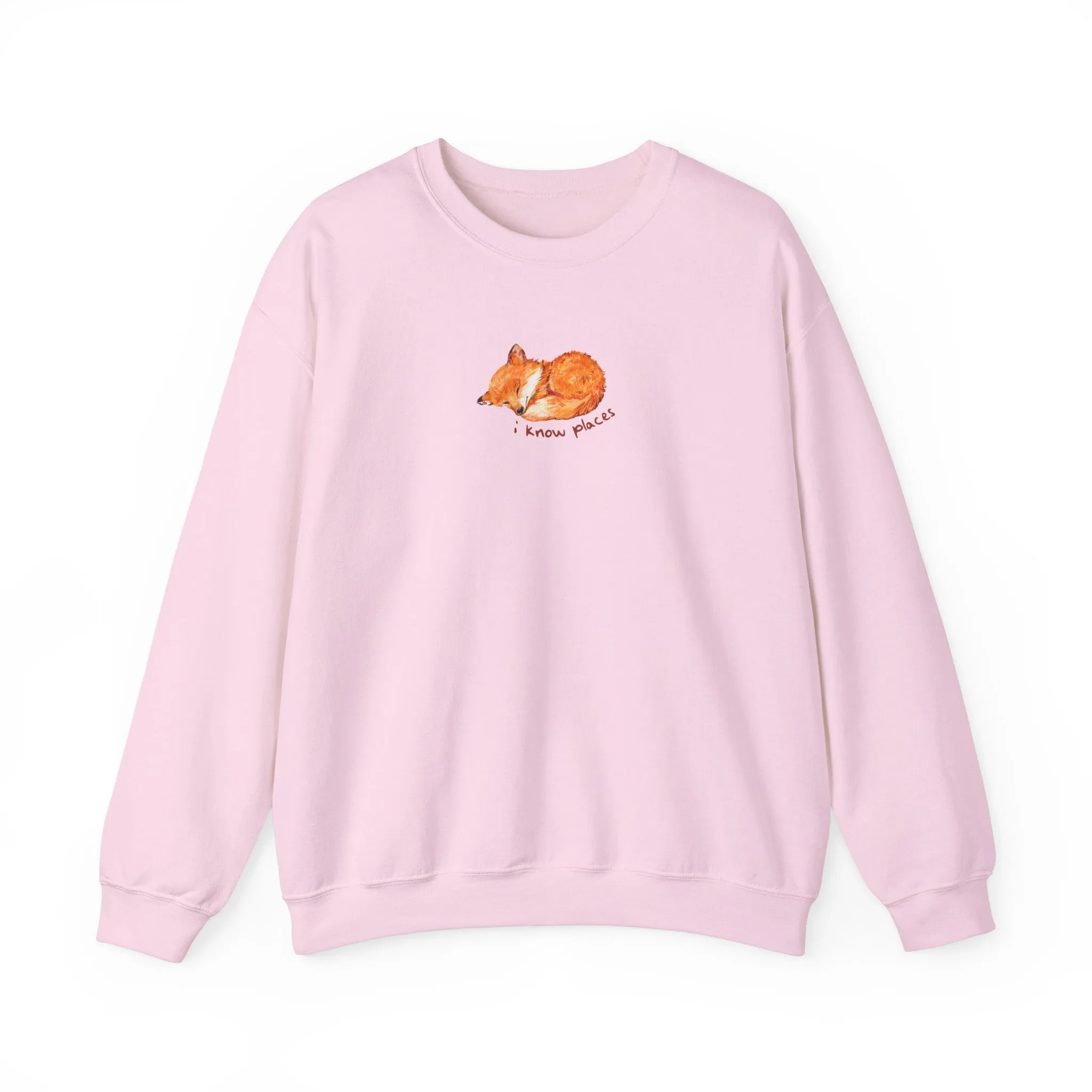 I Know Places Crewneck Sweatshirt sold by Rose Blush Studio product image thumbnail 4