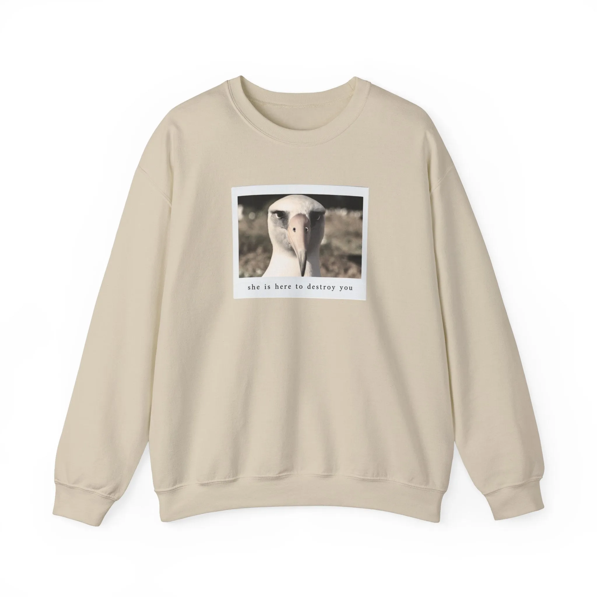 The Albatross Crewneck Sweatshirt sold by Rose Blush Studio product image thumbnail 3