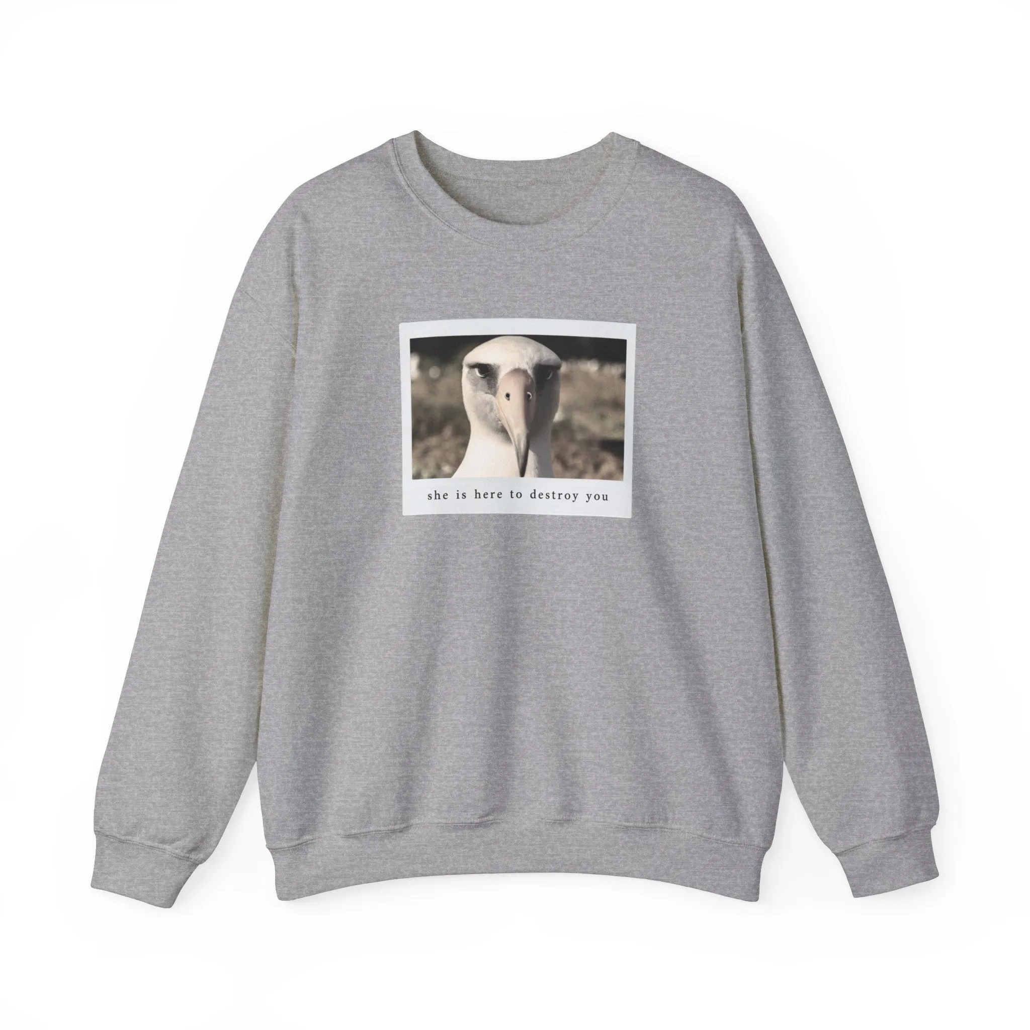 The Albatross Crewneck Sweatshirt sold by Rose Blush Studio product image thumbnail 4