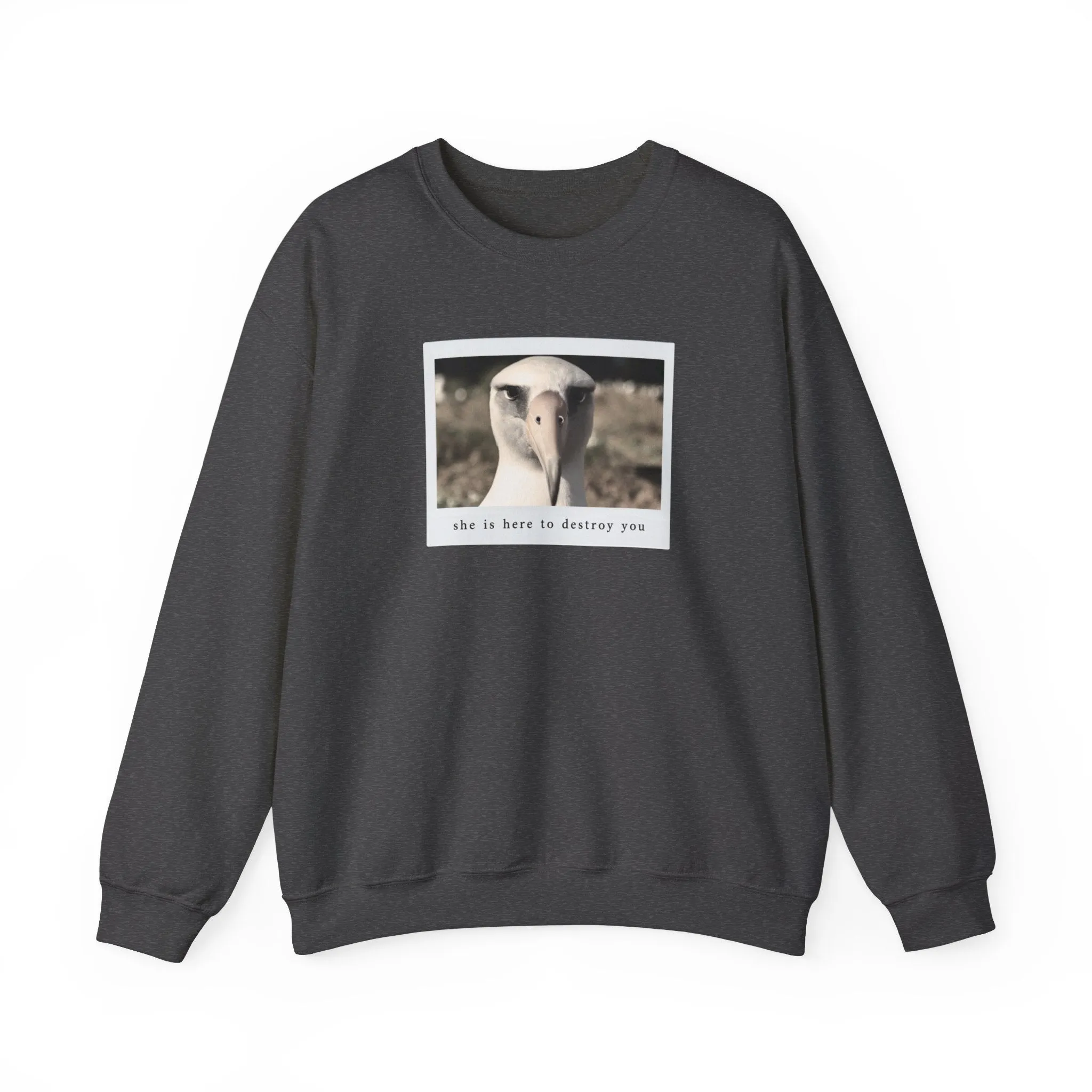 The Albatross Crewneck Sweatshirt sold by Rose Blush Studio product image thumbnail 2