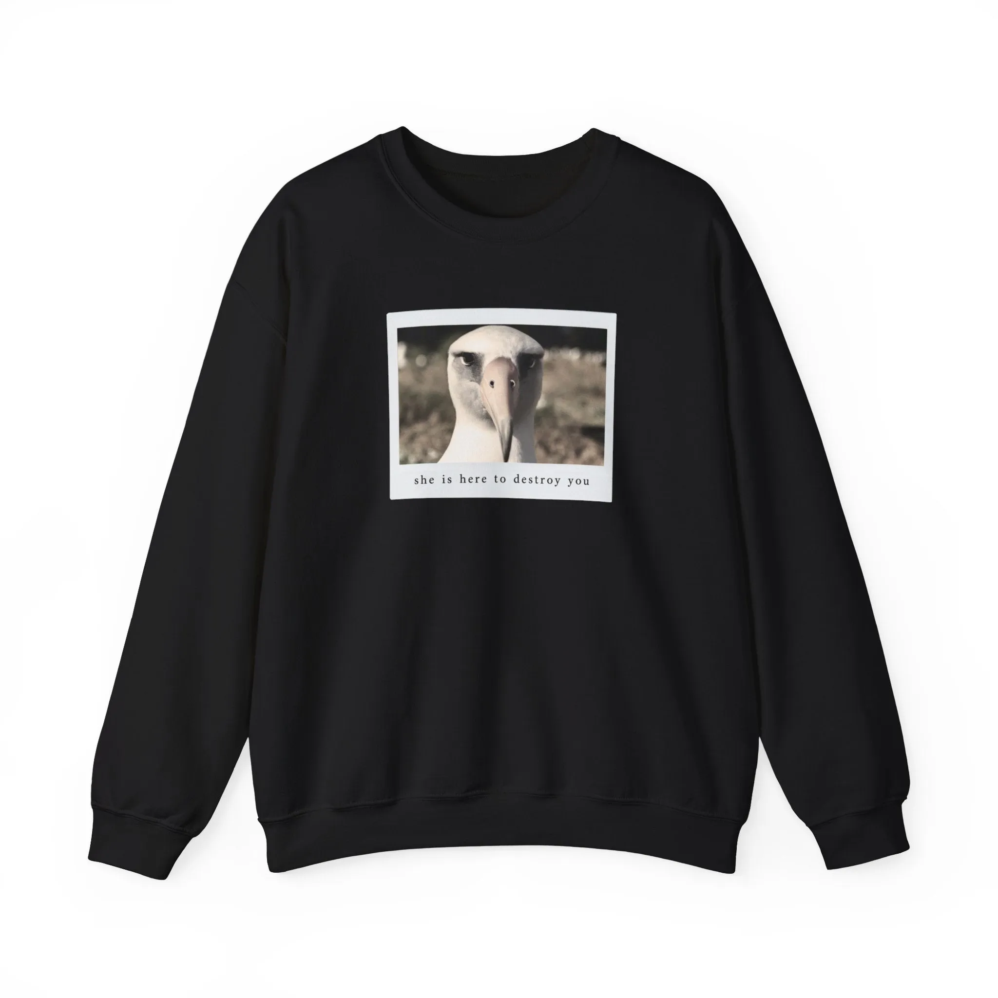 The Albatross Crewneck Sweatshirt sold by Rose Blush Studio product image thumbnail 5