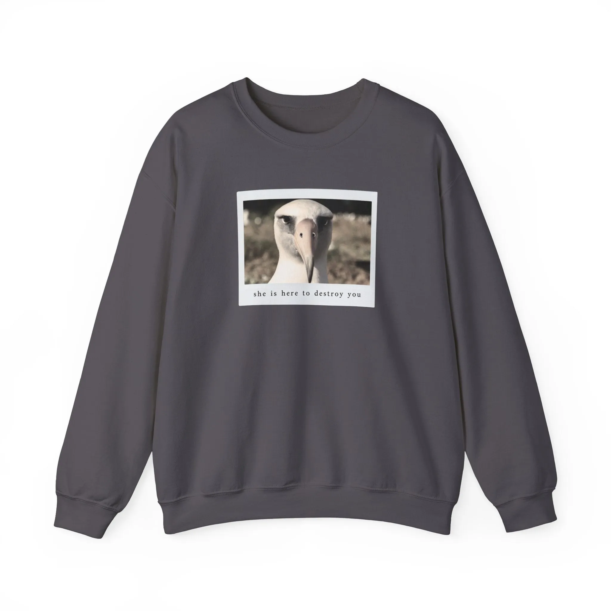 The Albatross Crewneck Sweatshirt sold by Rose Blush Studio