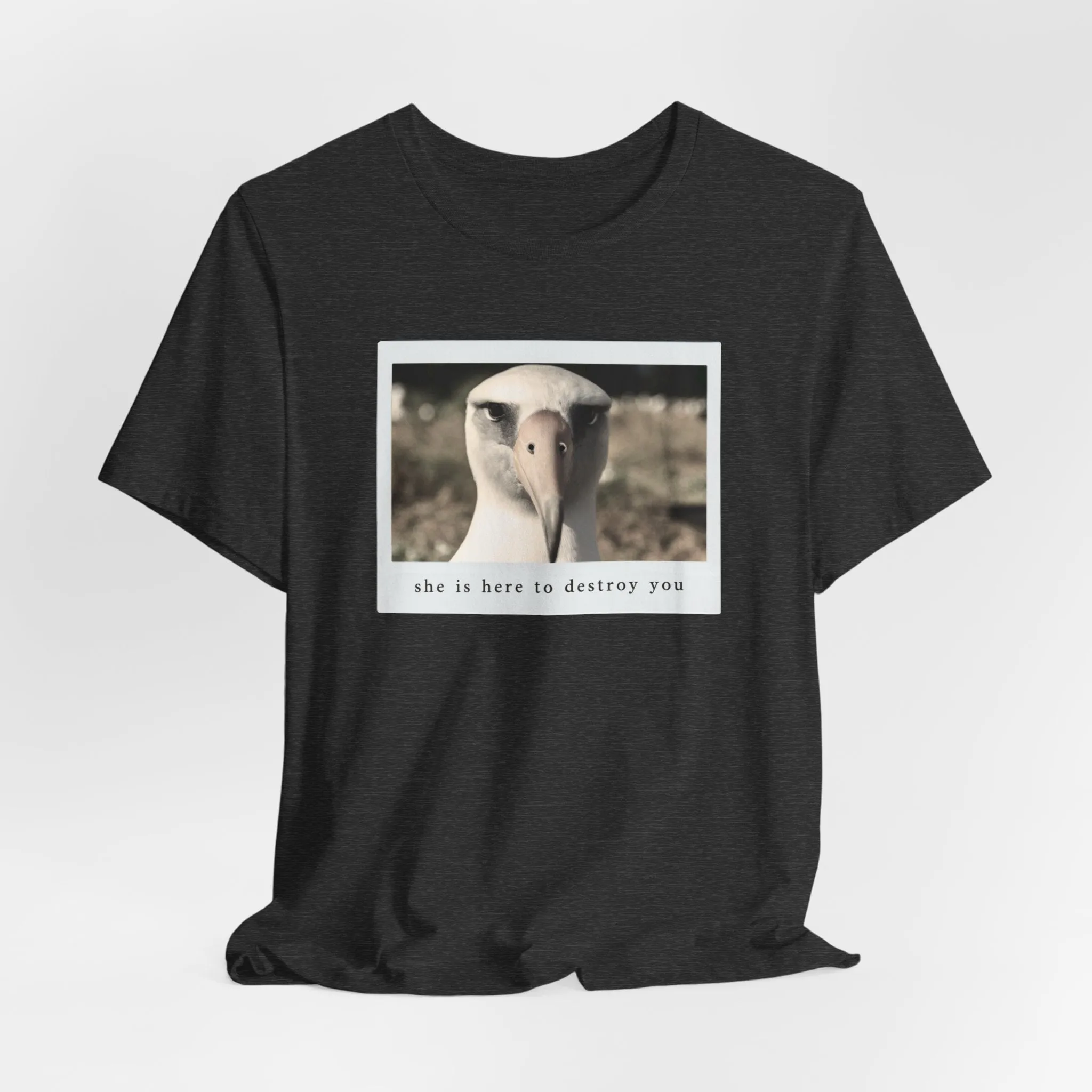 Albatross Tshirt sold by Rose Blush Studio product image thumbnail 5