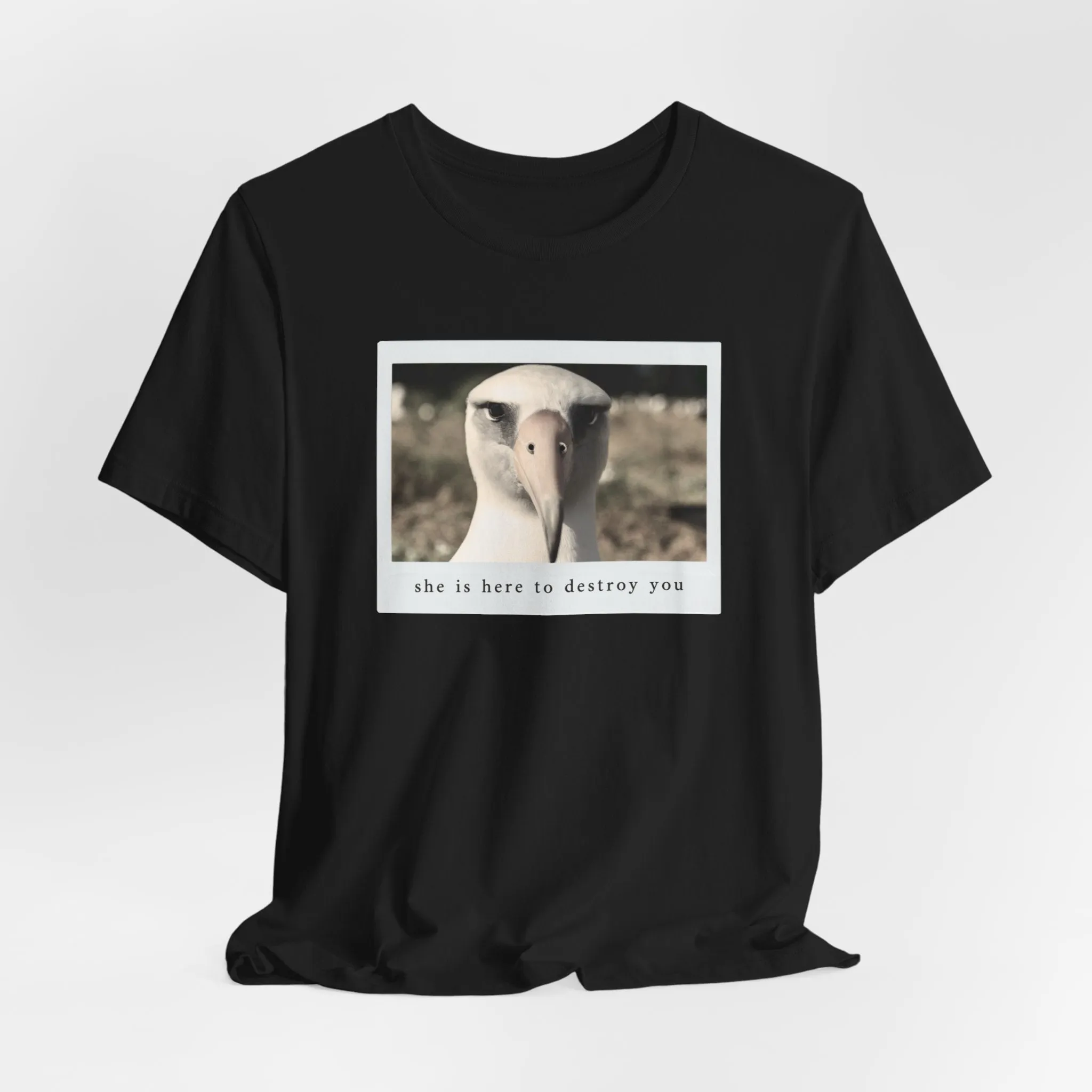 Albatross Tshirt sold by Rose Blush Studio product image thumbnail 4