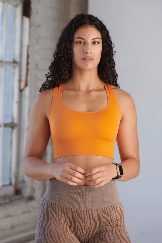 Seamlessly Sexy Sports Bra (Pumpkin Pie) sold by Dirty Candy Sportswear
