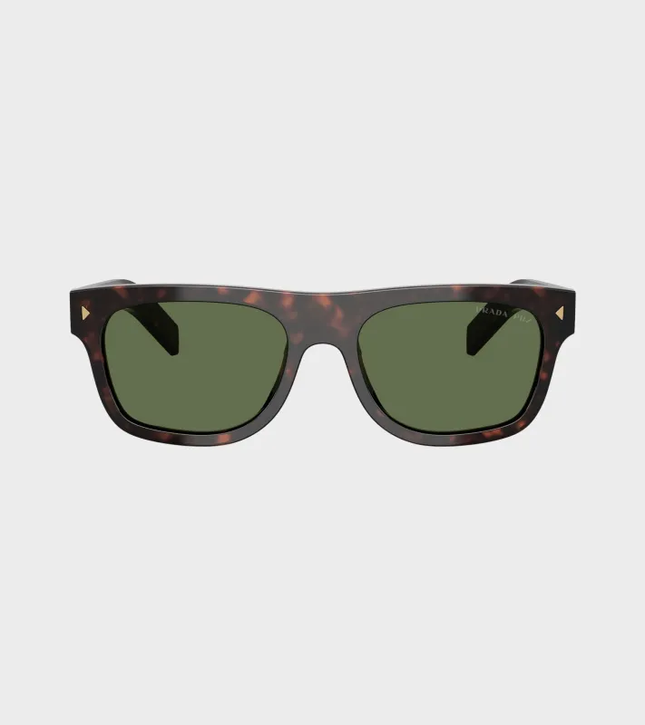 0PR B12S Root Tortoise/Polar Green made by Dr. Adams