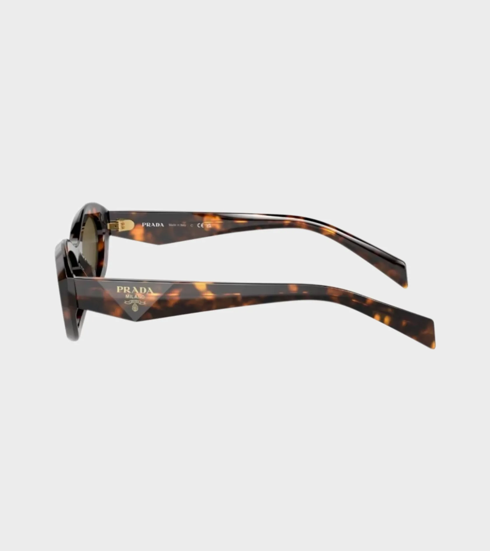 0PR 26ZS Honey Tortoise sold by Dr. Adams product image thumbnail 4