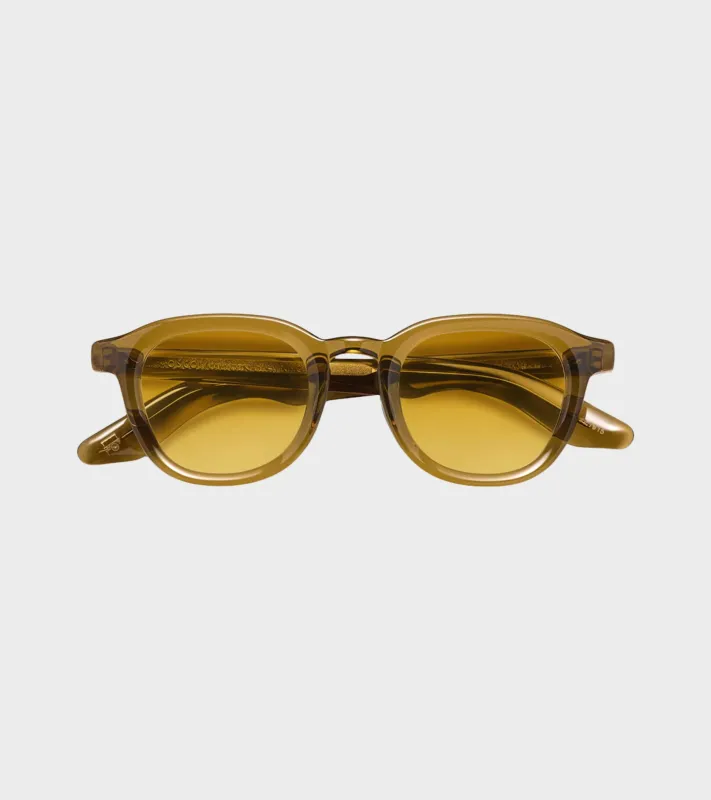 Dahven Sun 47 Olive Brown Chestnut sold by Dr. Adams