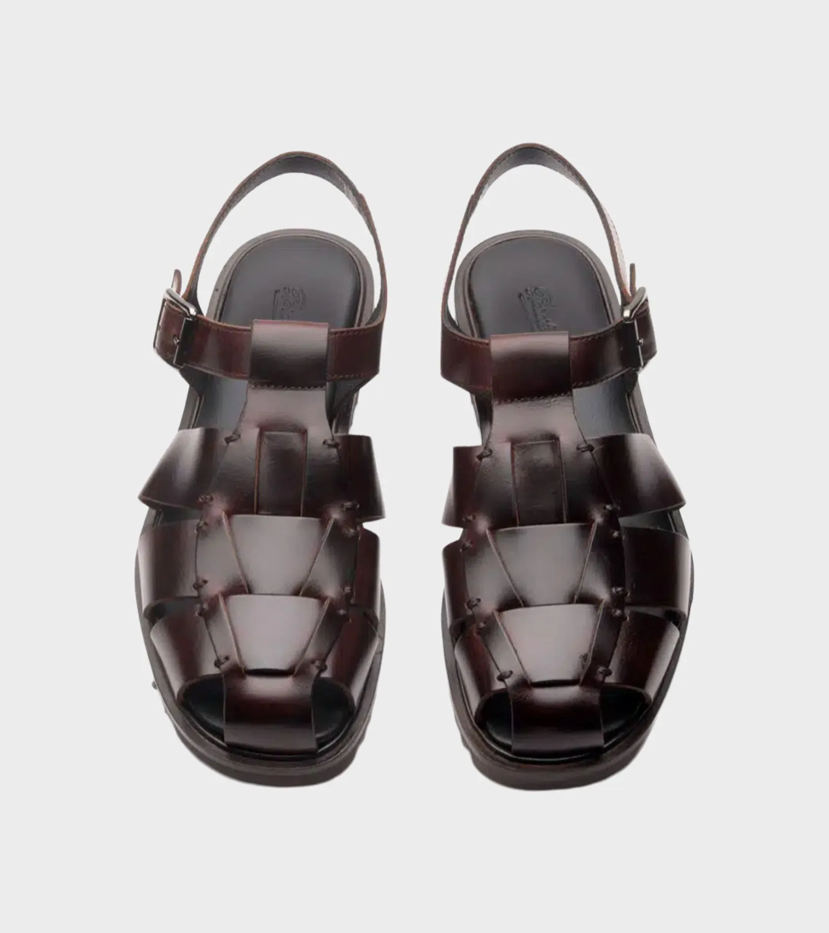 Santorin Sport Lis Marron America sold by Dr. Adams product image thumbnail 4