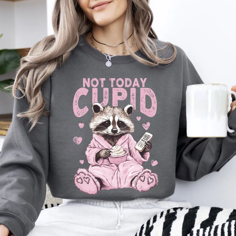 Not Today Cupid, Feral, Racoon, Valentine's Day, Love Sweatshirt sold by Refinery Number One