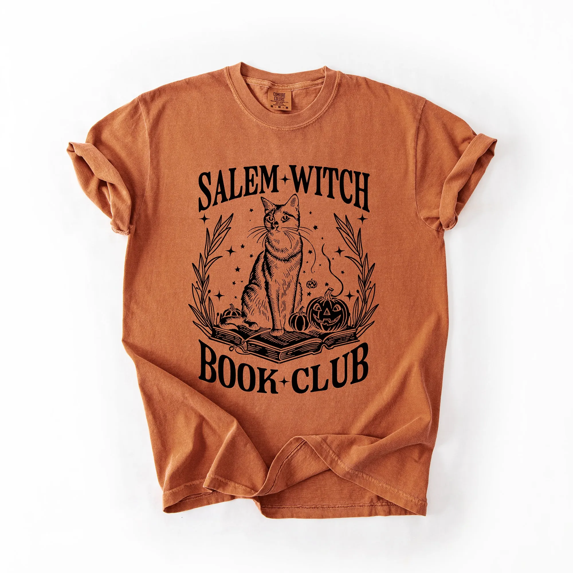 Salem Book Club, Cat, Retro, Classic, Vintage, Halloween, Reading, Books, Comfort Colors T-Shirt sold by Refinery Number One product image thumbnail 2