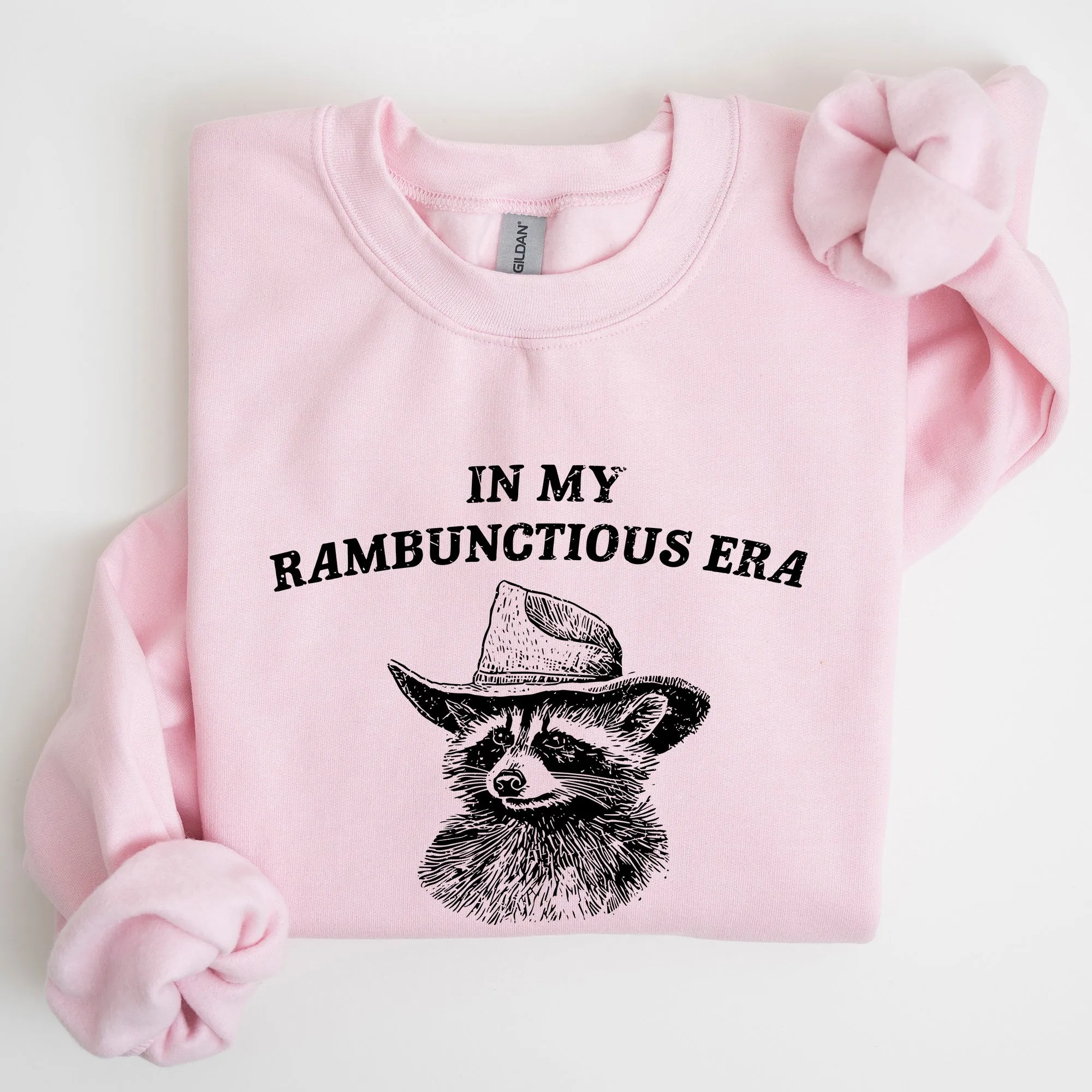 Rambunctious Era, Raccoon, Meme, Aesthetic, Funny Sweatshirt sold by Refinery Number One product image thumbnail 5