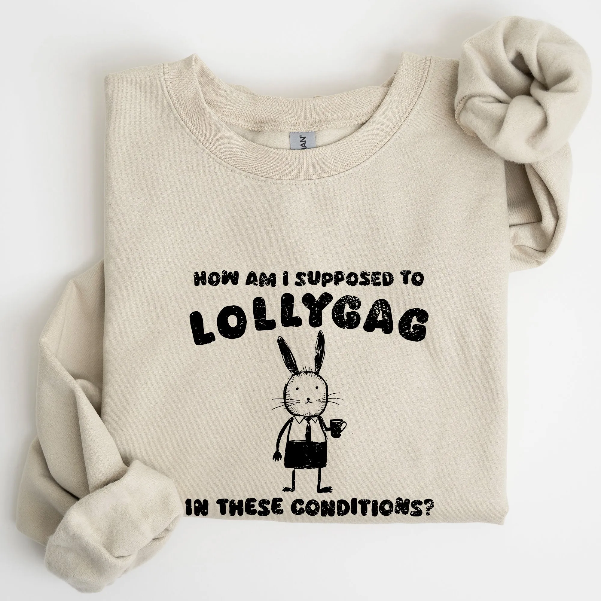 How Am I Supposed To Lollygag, Rabbit, Bunny, Meme, Aesthetic, Funny Sweatshirt sold by Refinery Number One product image thumbnail 5