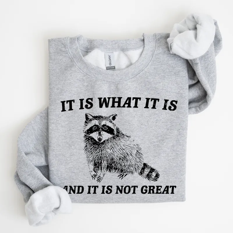It Is What It Is And It Is Not Great, Raccoon, Trash Panda, Funny, Meme, Sweatshirt sold by Refinery Number One