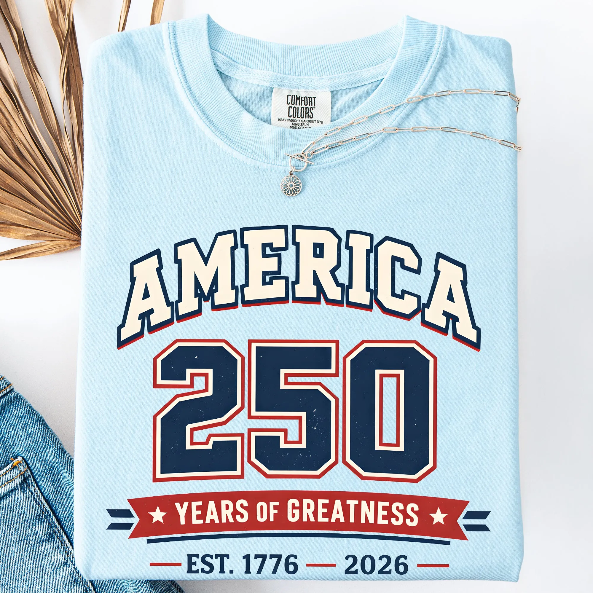 250 Years Of Greatness We The People Bow And Ribbon Tribute A Patriotic Celebration Comfort Colors Tee sold by Refinery Number One product image thumbnail 3