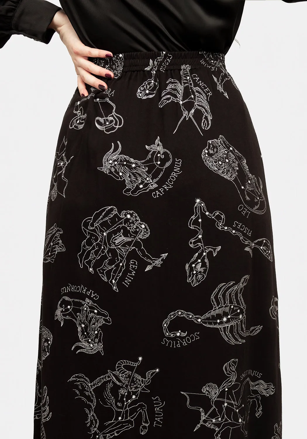 Zodiac Button Midi Skirt sold by Disturbia product image thumbnail 2