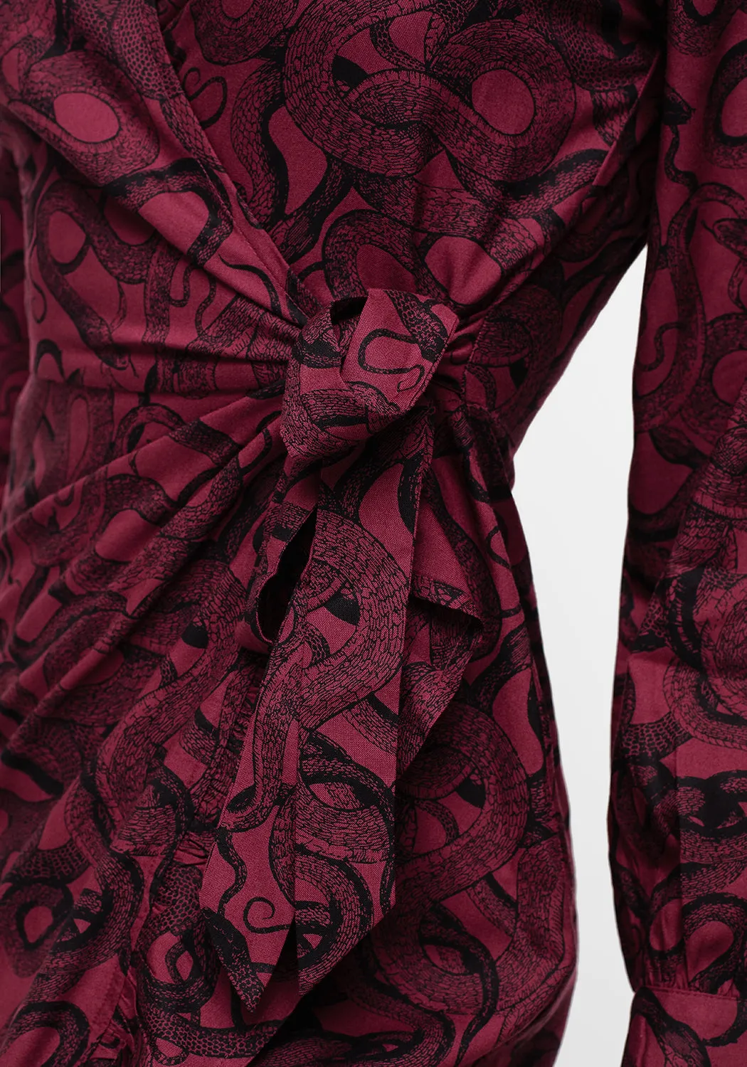 Ophidia Snakes Print Wrap Maxi Dress - Red sold by Disturbia product image thumbnail 2