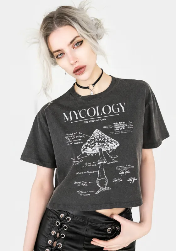 Mycology Boxy Crop T-shirt sold by Disturbia