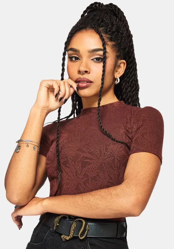 Moiren Brown Knit Short Sleeved Crop Top sold by Disturbia