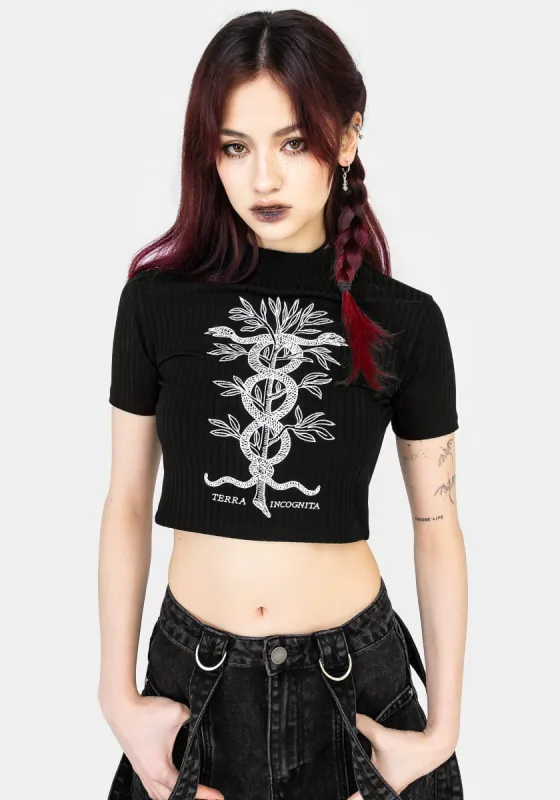 Caduceus Embroidered High Neck Crop Top sold by Disturbia