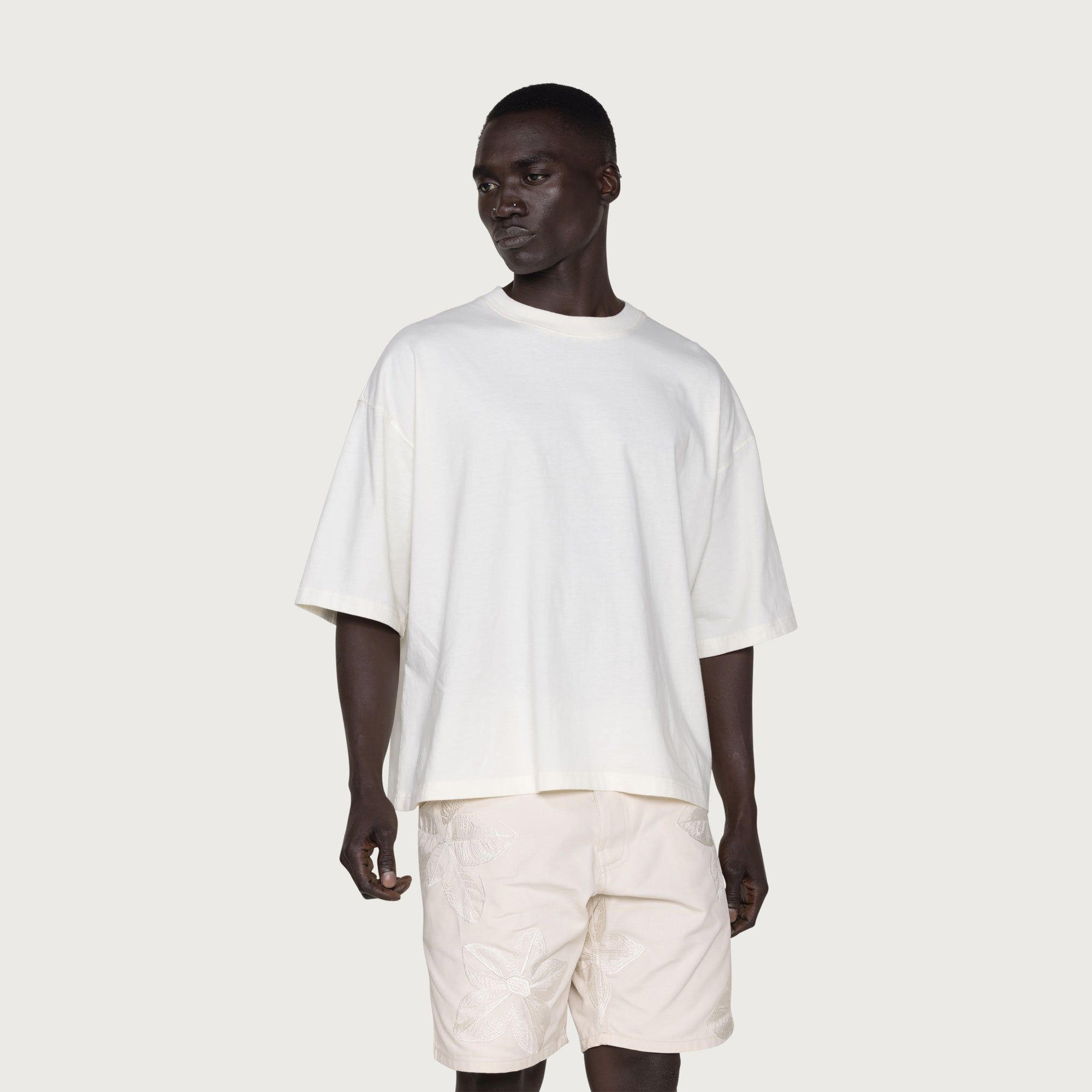 Crest Box T-Shirt - Bone sold by Honor the Gift product image thumbnail 6