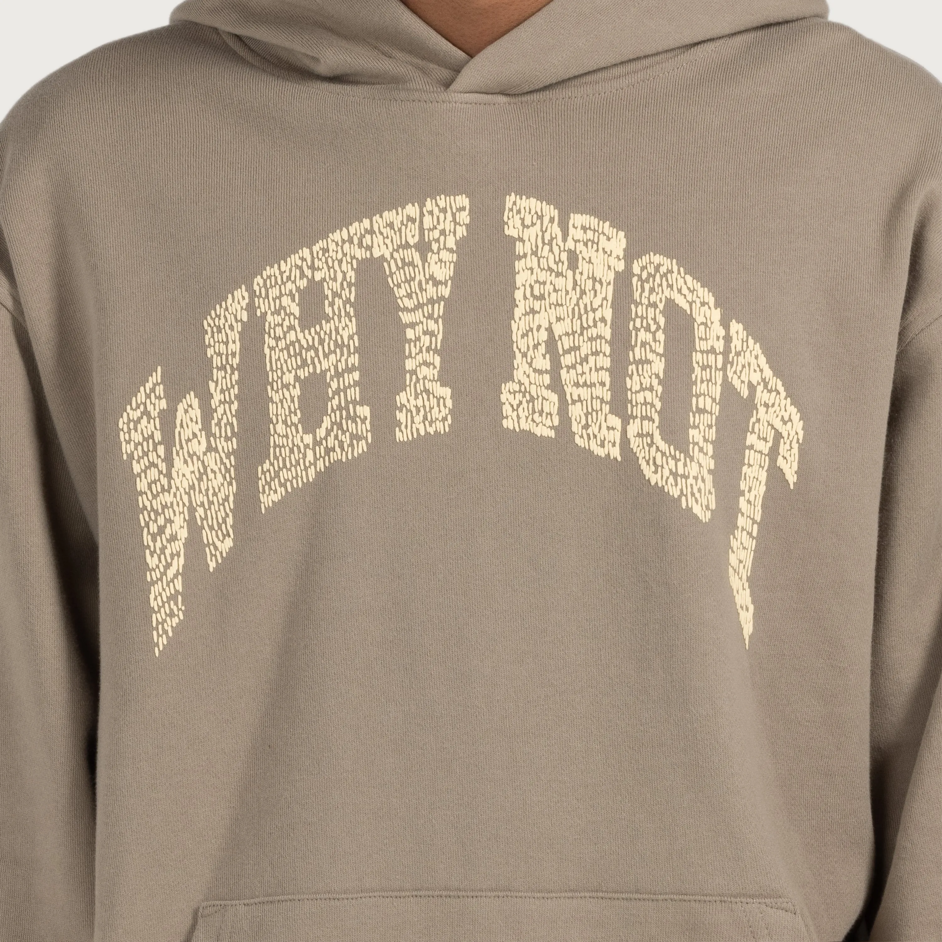 Why Not Hoodie - Taupe sold by Honor the Gift product image thumbnail 4