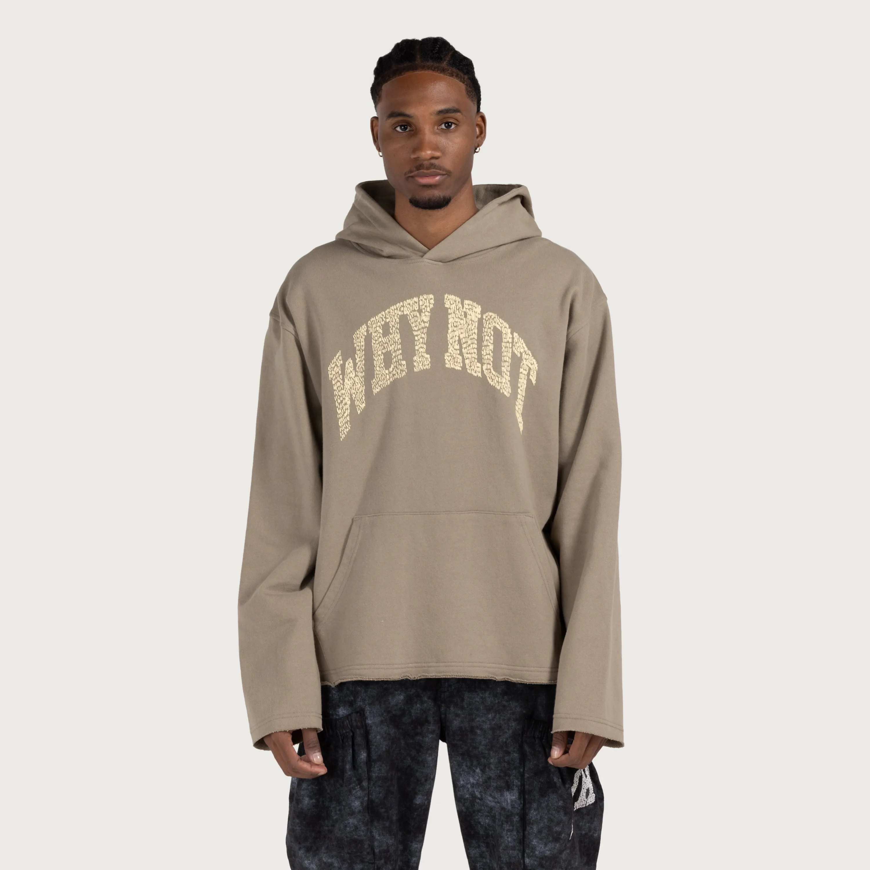 Why Not Hoodie - Taupe sold by Honor the Gift product image thumbnail 2