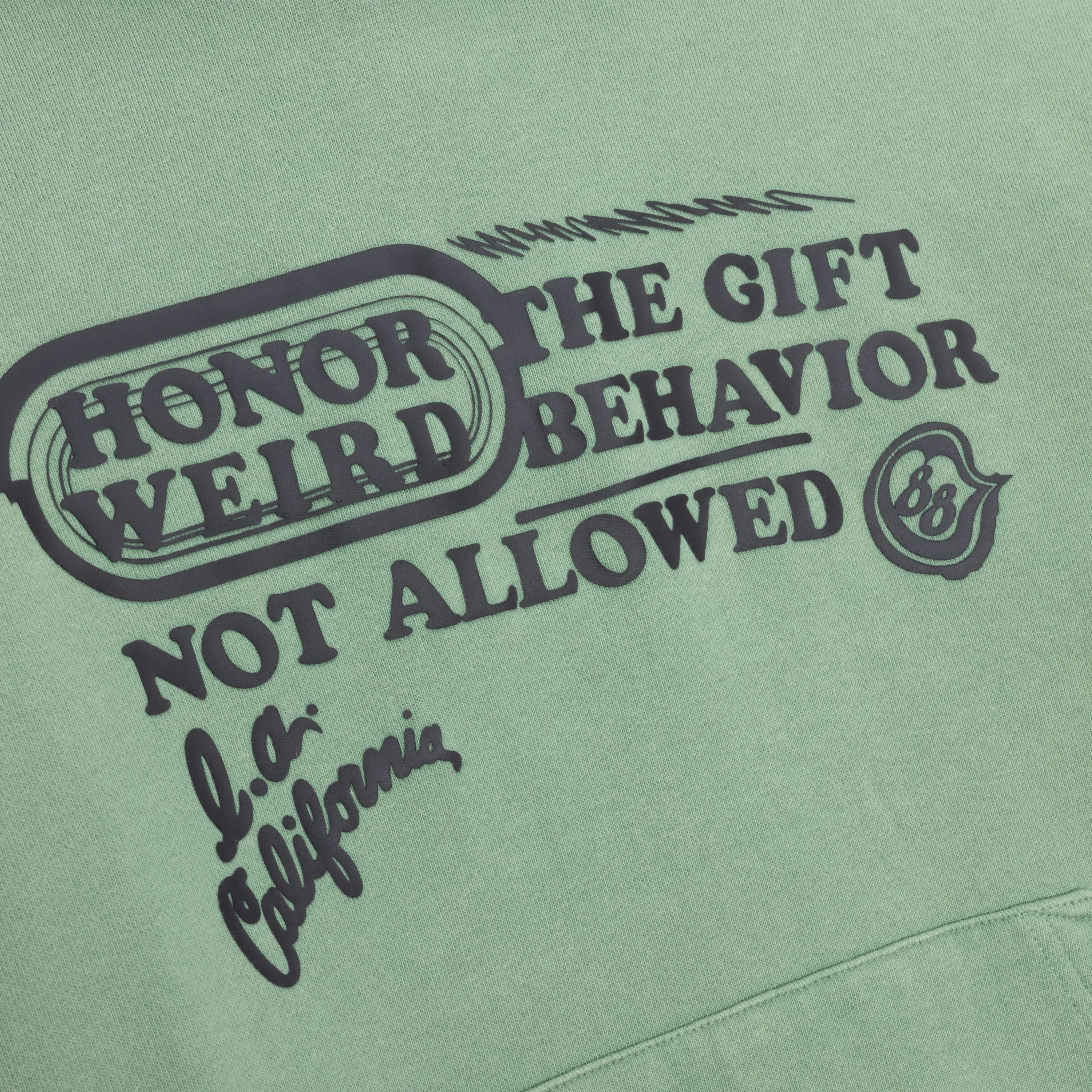 Not Allowed Hoodie - Mint sold by Honor the Gift product image thumbnail 3