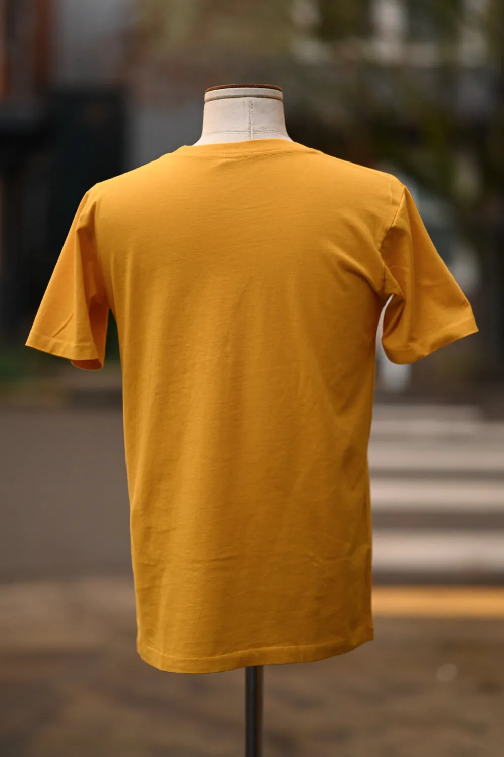 SJ Mustard Pocket Tee V2 sold by Ship John product image thumbnail 3