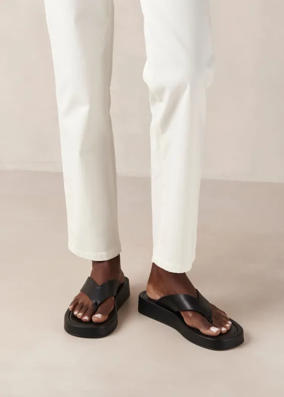 Overcast Black sold by Alohas