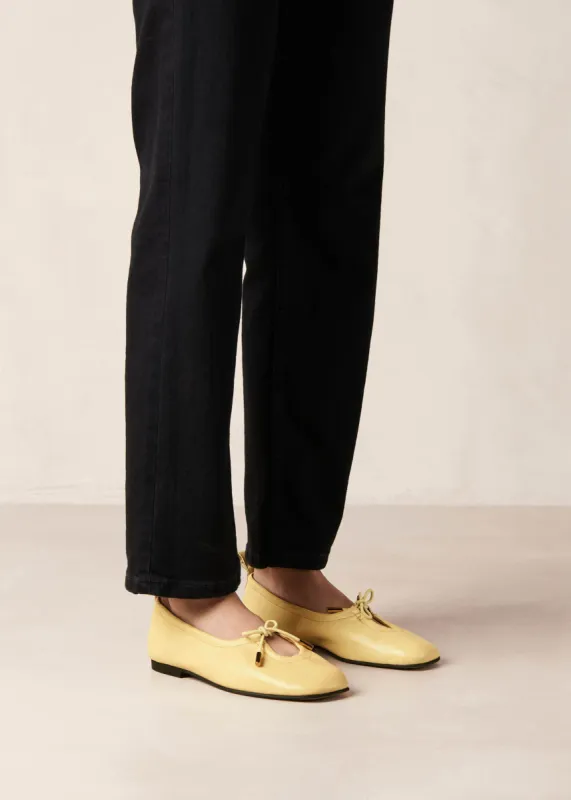 Rosalind Yellow Leather Ballet Flats sold by Alohas