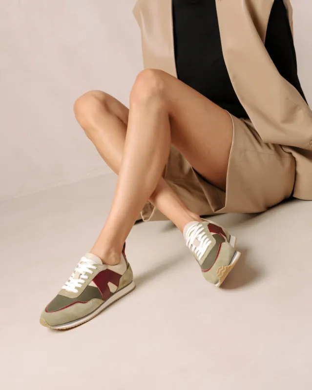 Tb.015 Maranta sold by Alohas