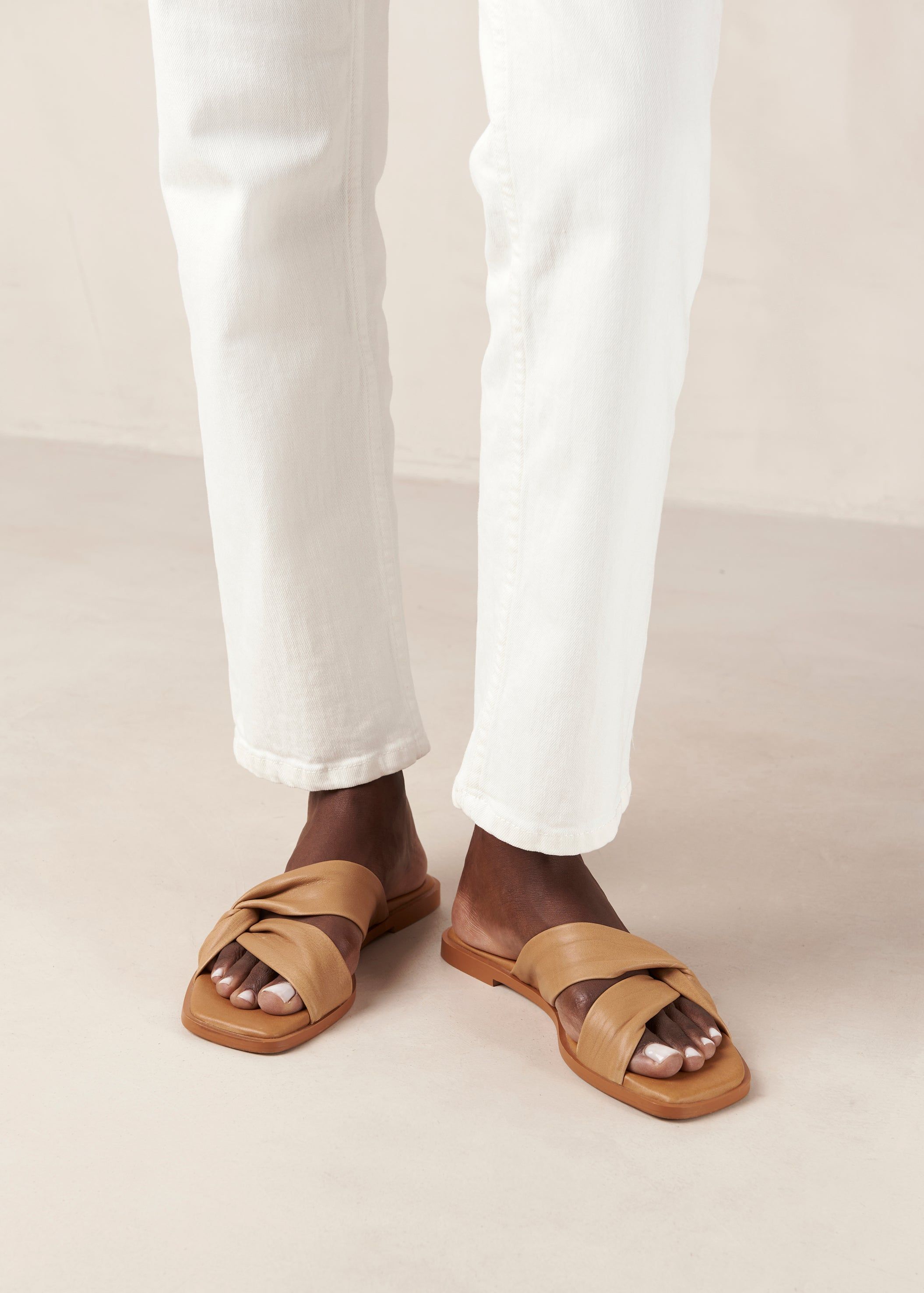 Nomad Camel sold by Alohas product image thumbnail 2