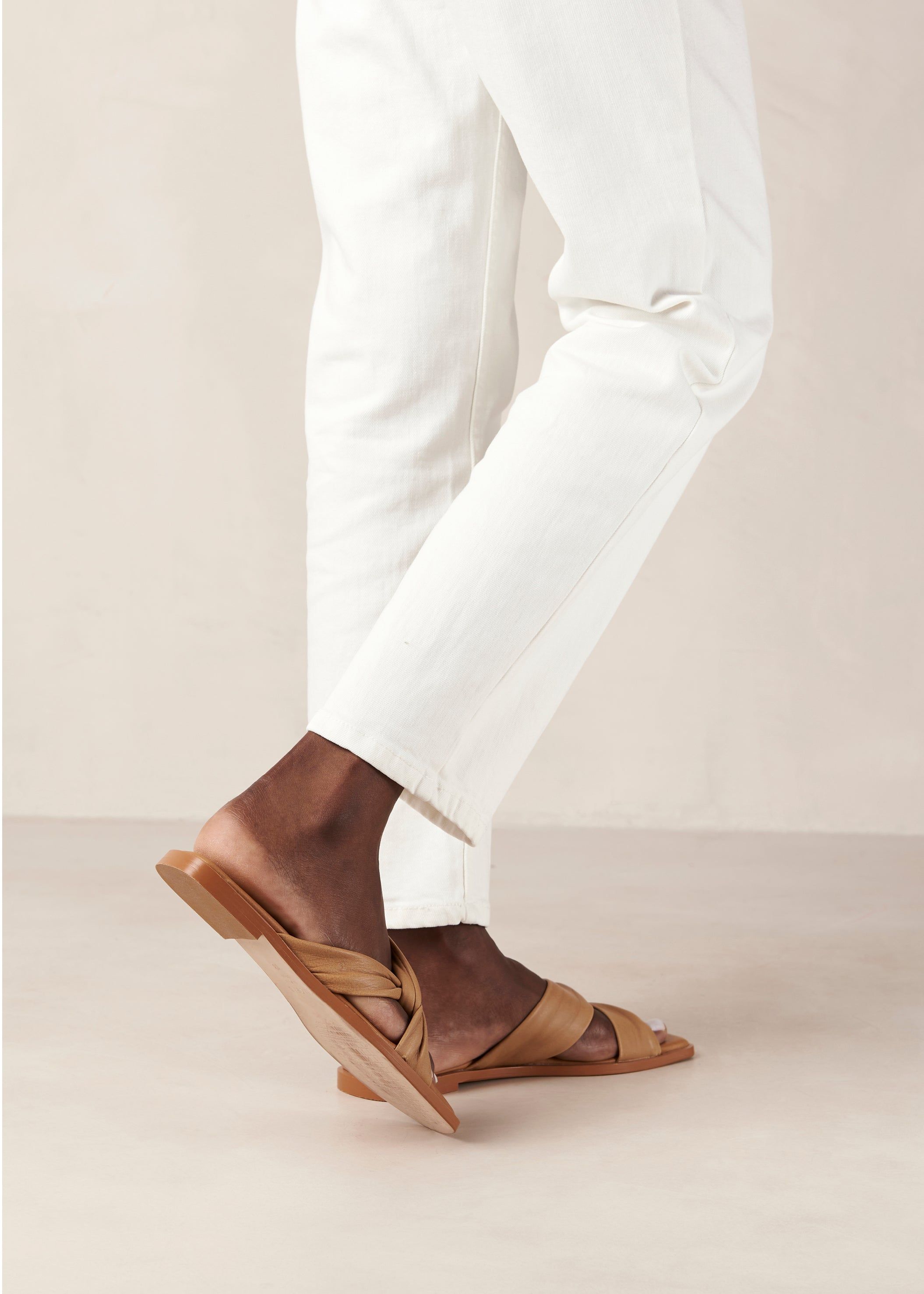 Nomad Camel sold by Alohas product image thumbnail 5