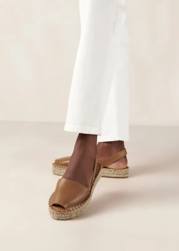 Ibizas Camel sold by Alohas