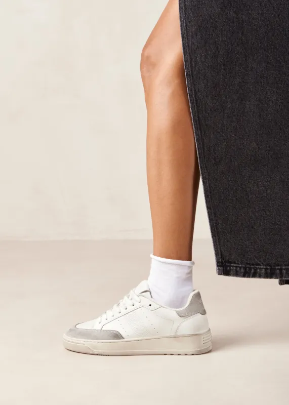 Tb.780 Suede Dusty Light Grey Leather Sneakers sold by Alohas