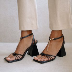Cactus Black sold by Alohas