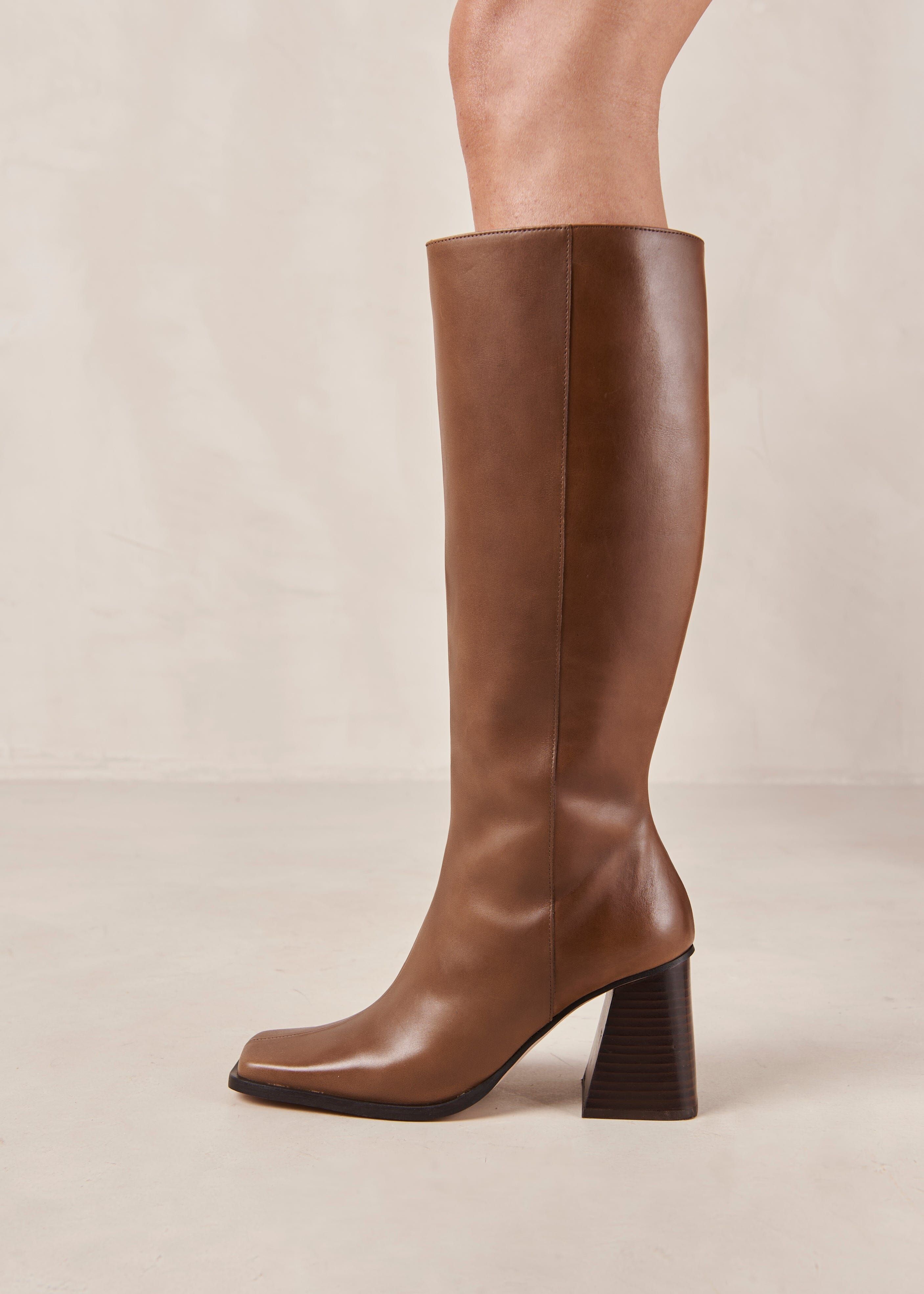 North Camel sold by Alohas