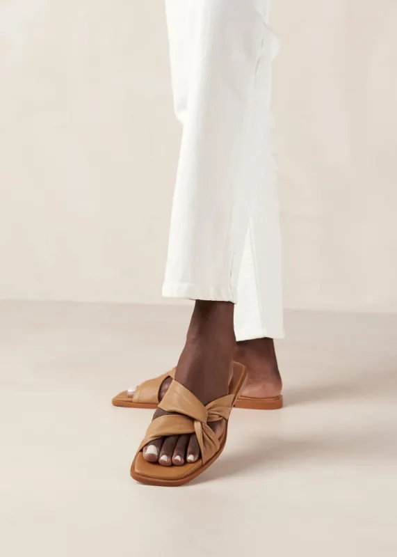 Nomad Camel sold by Alohas