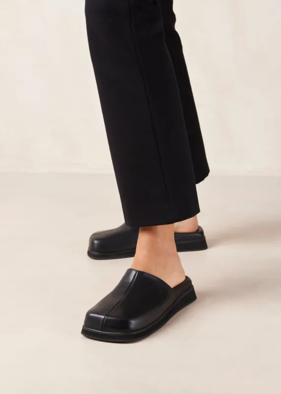 Whiz Black sold by Alohas