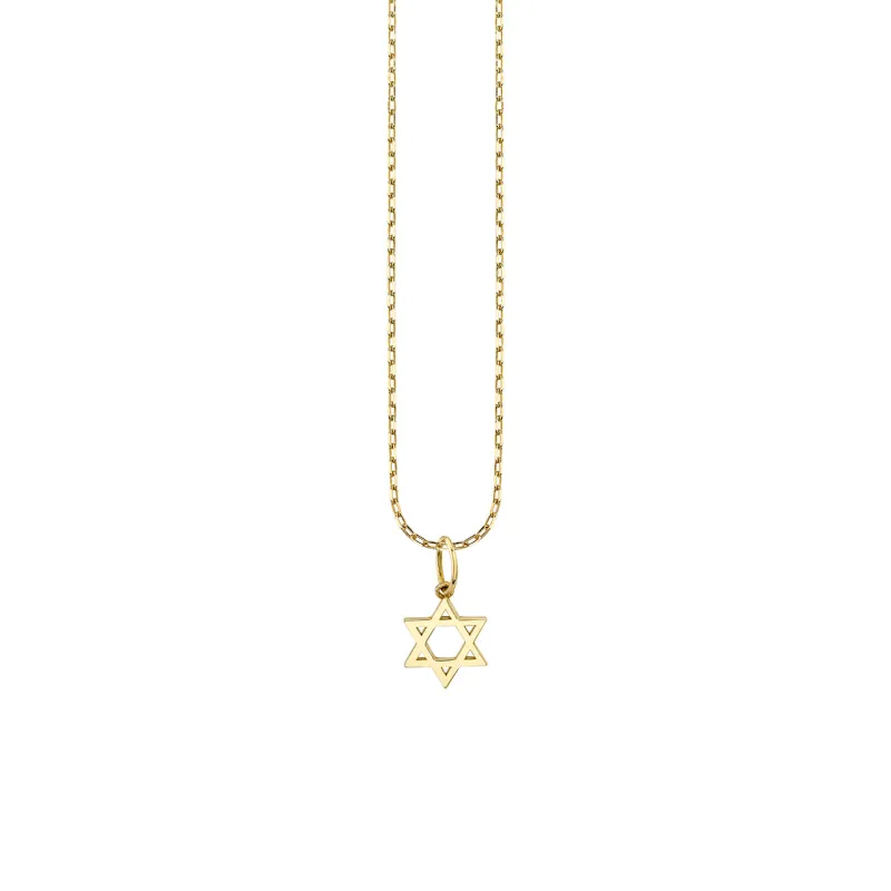 Pure Gold Tiny Star Of David Charm made by Sydney Evan