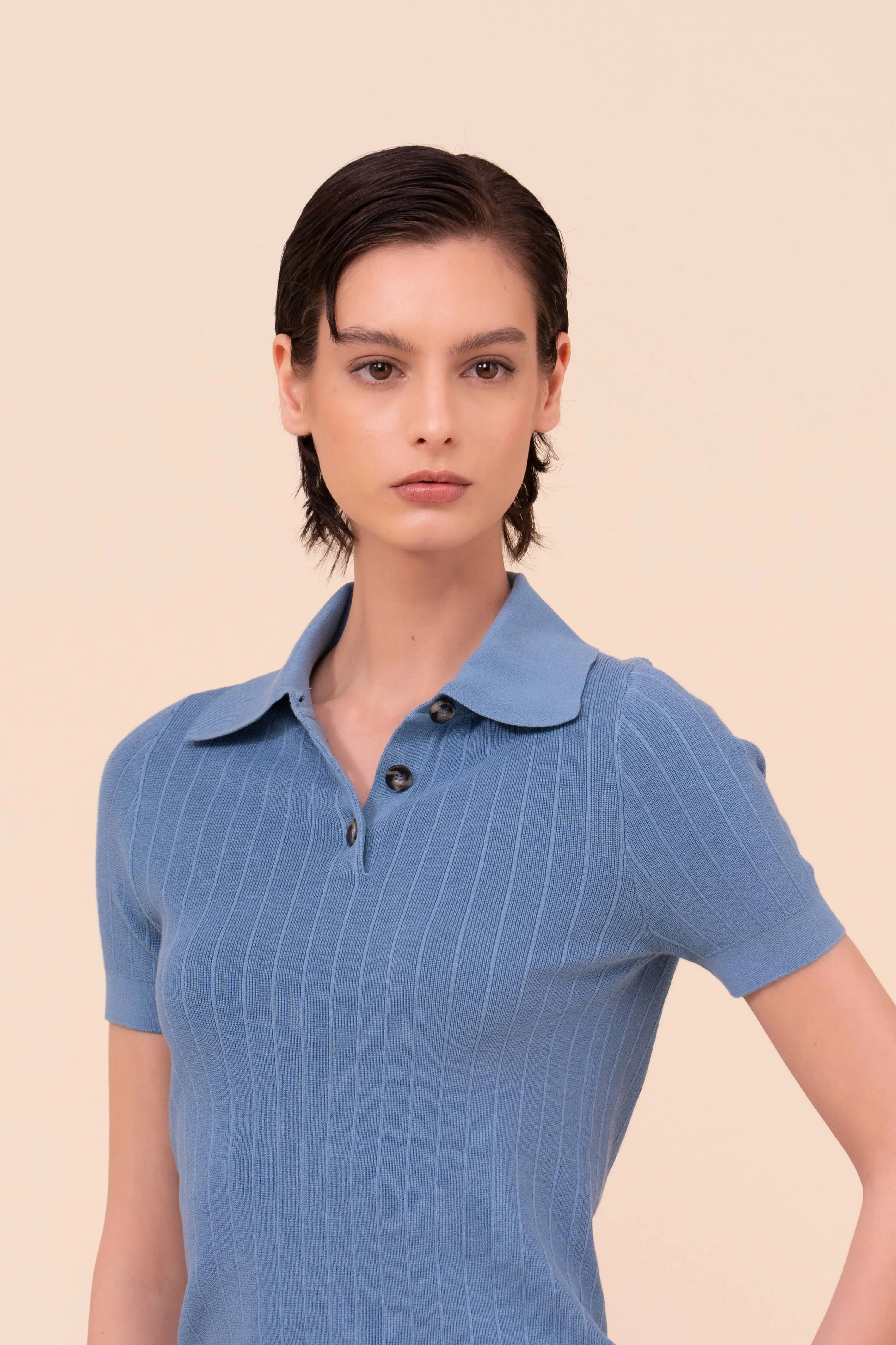 Koons Dusty Cotton Knit Polo sold by Fedeli product image thumbnail 4