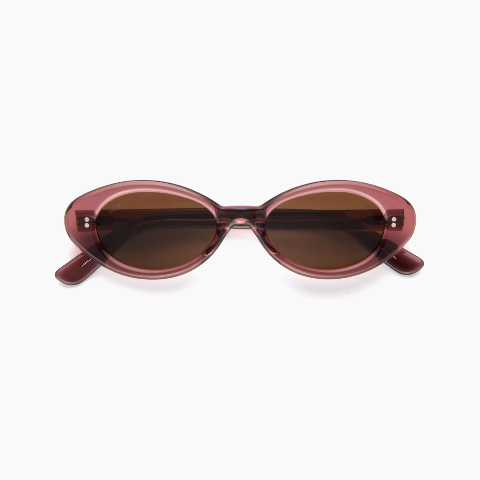 Daisy sold by Akila product image thumbnail 5