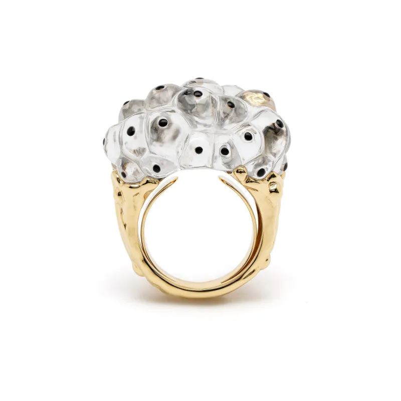 Spawn Ring made by Bibi van der Velden