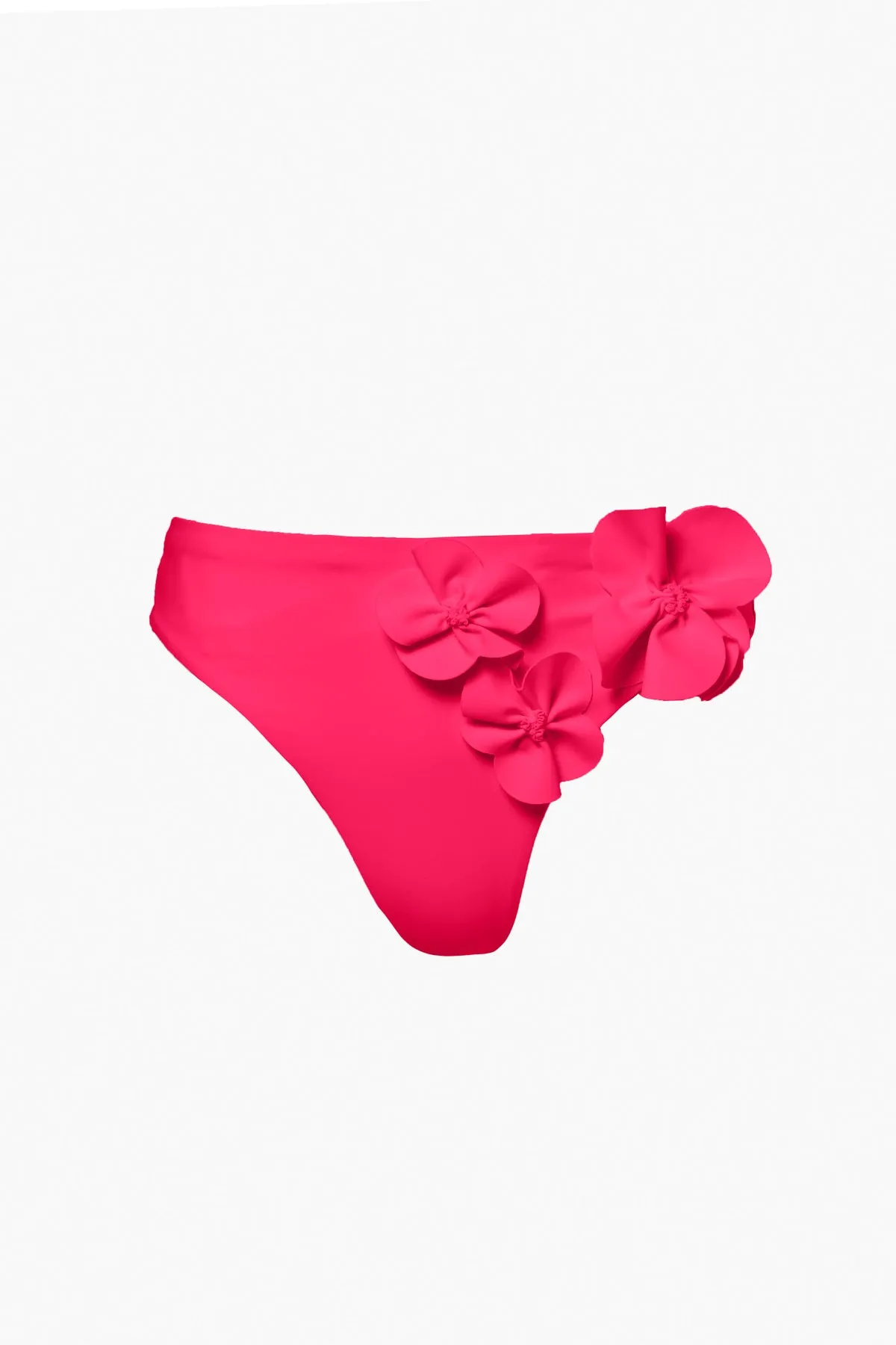 REINA bikini bottom sold by Goldbergh product image thumbnail 5